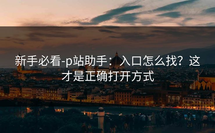 新手必看-p站助手：入口怎么找？这才是正确打开方式