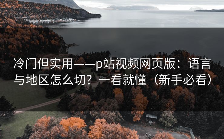 冷门但实用——p站视频网页版：语言与地区怎么切？一看就懂（新手必看）