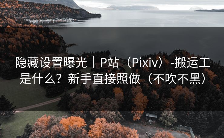 隐藏设置曝光｜P站（Pixiv）-搬运工是什么？新手直接照做（不吹不黑）