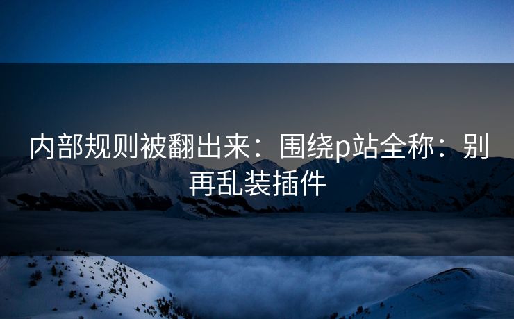 内部规则被翻出来：围绕p站全称：别再乱装插件