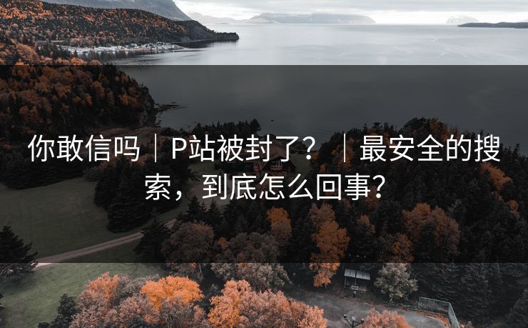你敢信吗｜P站被封了？｜最安全的搜索，到底怎么回事？