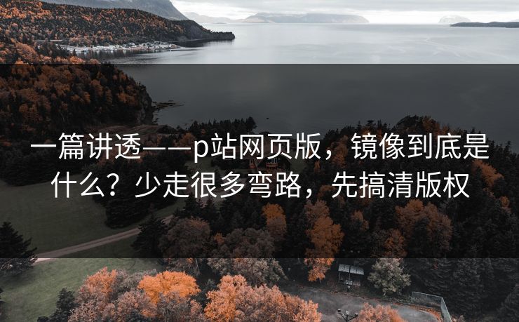 一篇讲透——p站网页版，镜像到底是什么？少走很多弯路，先搞清版权