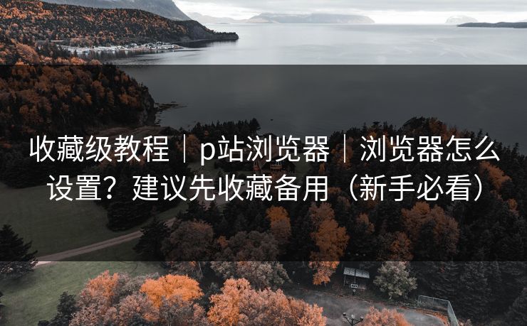 收藏级教程｜p站浏览器｜浏览器怎么设置？建议先收藏备用（新手必看）