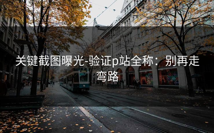 关键截图曝光-验证p站全称：别再走弯路