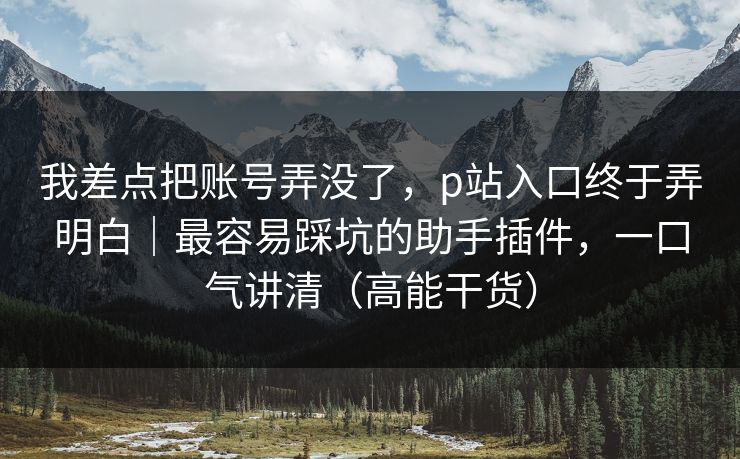我差点把账号弄没了，p站入口终于弄明白｜最容易踩坑的助手插件，一口气讲清（高能干货）