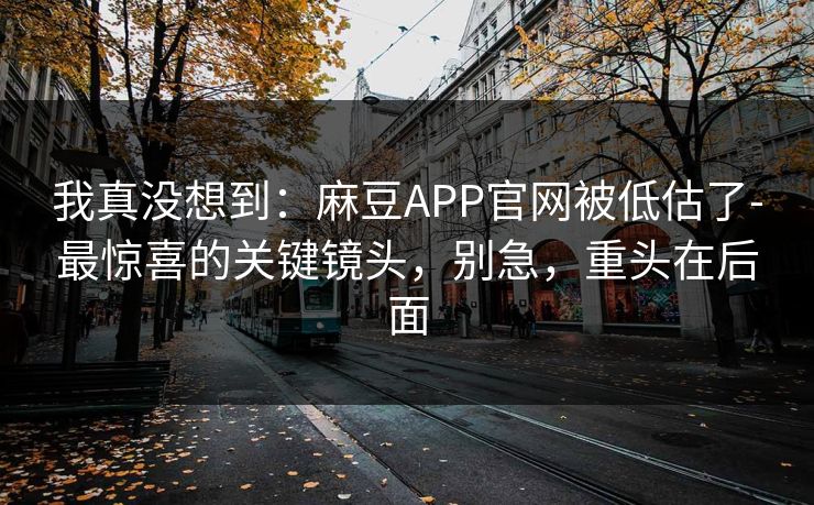 我真没想到：麻豆APP官网被低估了-最惊喜的关键镜头，别急，重头在后面