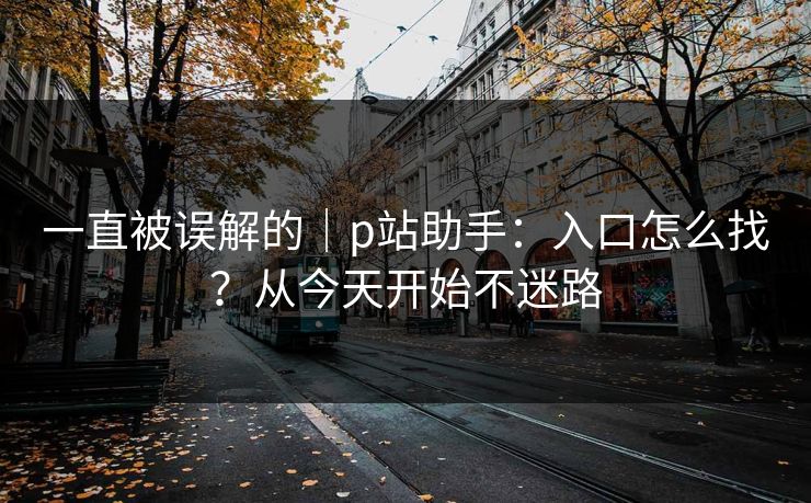 一直被误解的｜p站助手：入口怎么找？从今天开始不迷路