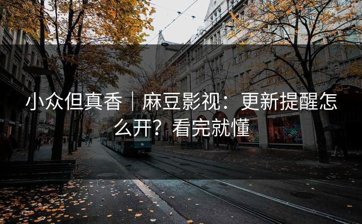 小众但真香｜麻豆影视：更新提醒怎么开？看完就懂