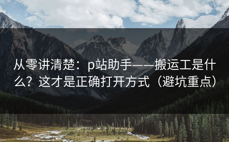 从零讲清楚:p站助手——搬运工是什么?这才是正确打开方式(避坑重点)