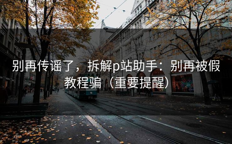 别再传谣了，拆解p站助手：别再被假教程骗（重要提醒）